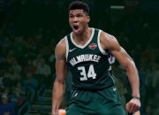 关于字母哥连续十二场比赛得分超过高光表现，尤文图斯挑战极限！的信息